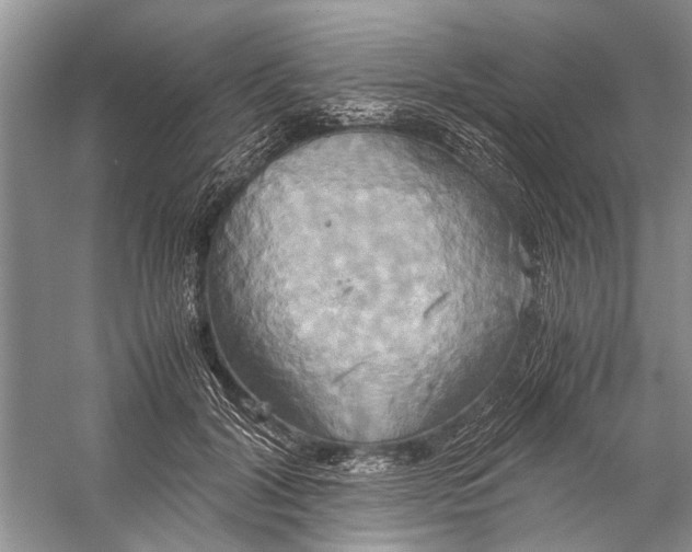 X0000057040604200510071407