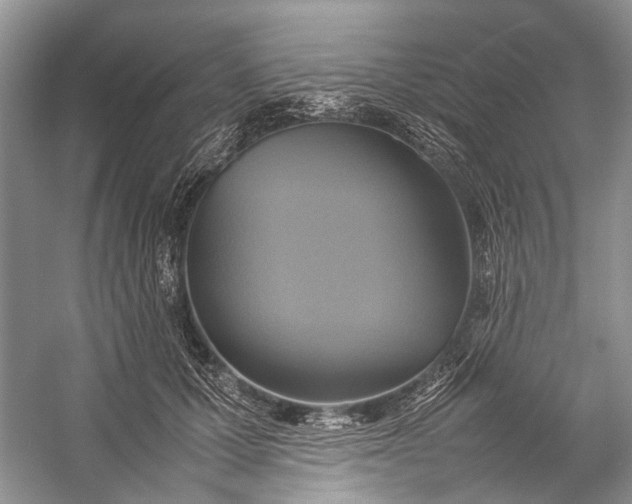 X0000057040607200510071407