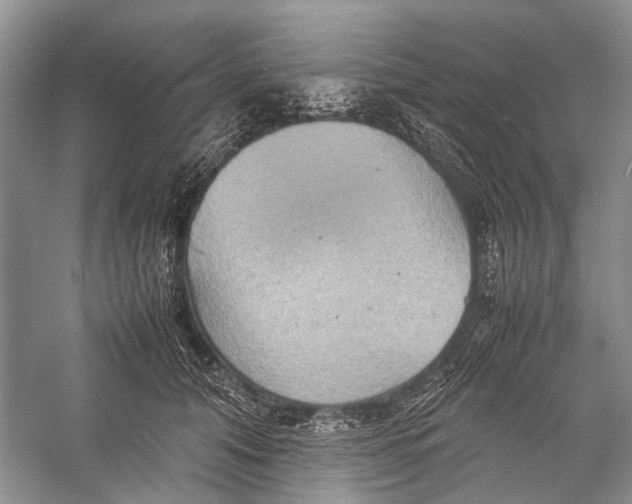 X0000057040608200510071407