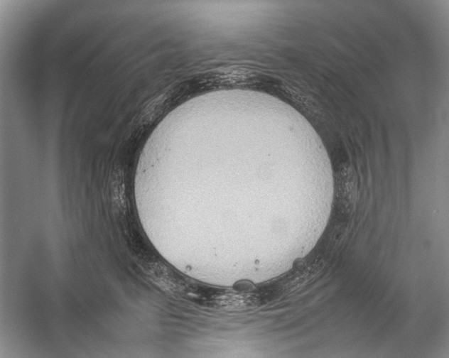 X0000057040615200510071407