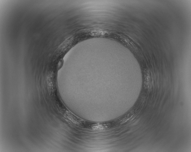 X0000057040616200510071407