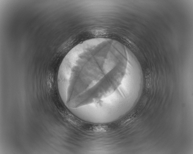 X0000057040618200510071407