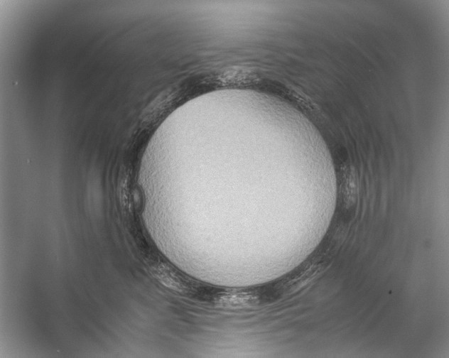 X0000057040619200510071407