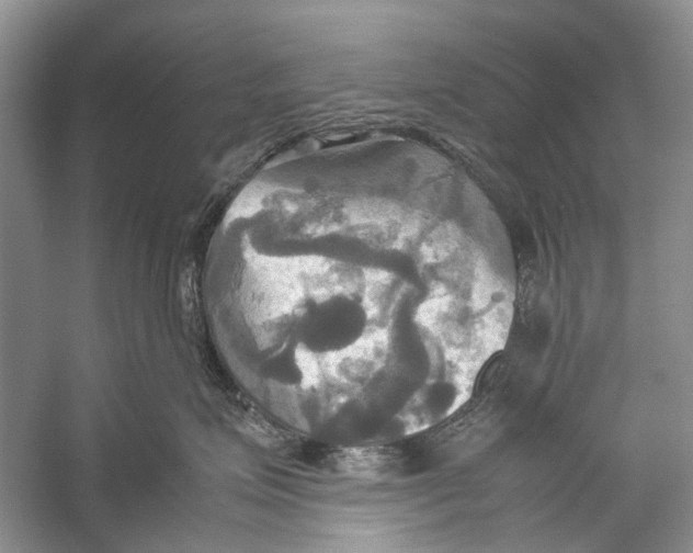 X0000057040623200510071407