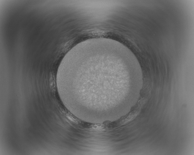 X0000057040624200510071407