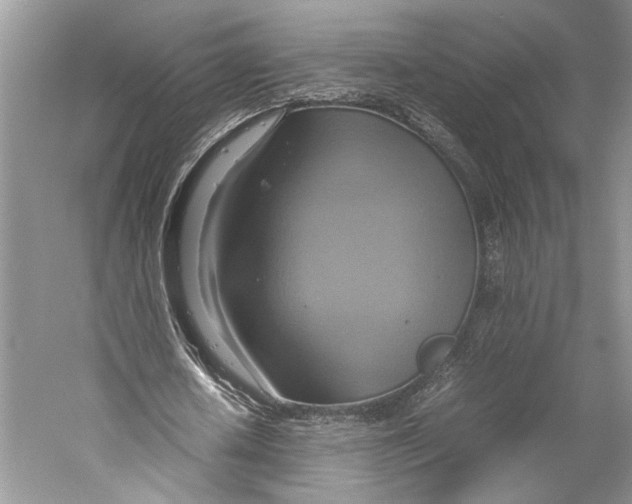 X0000057040626200510071406