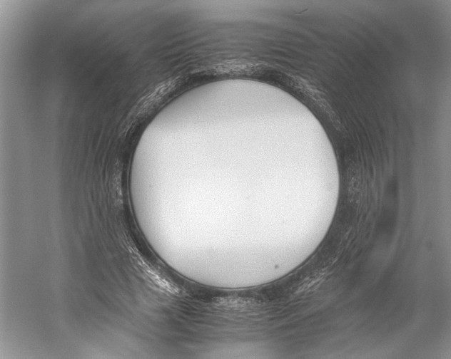 X0000057040633200510071406