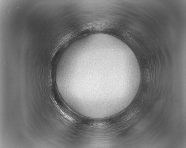 X0000057040638200510071406