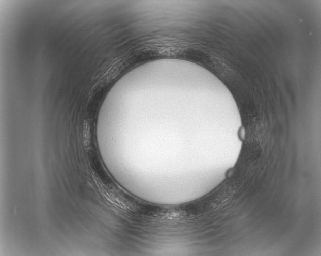 X0000057040646200510071406