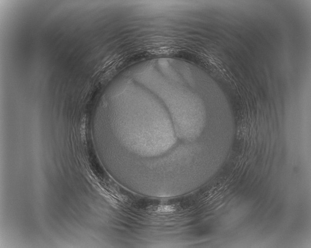 X0000057040647200510071407