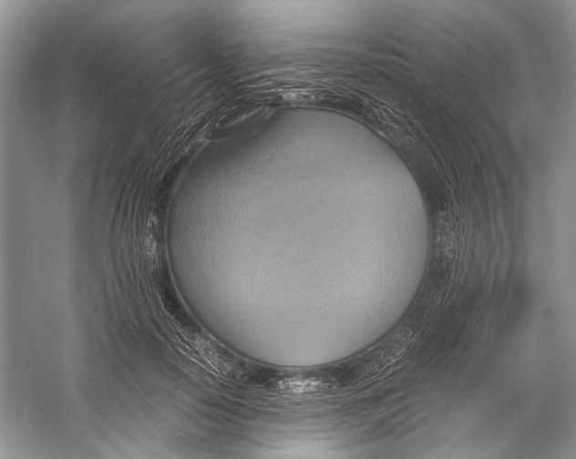 X0000057040650200510071407