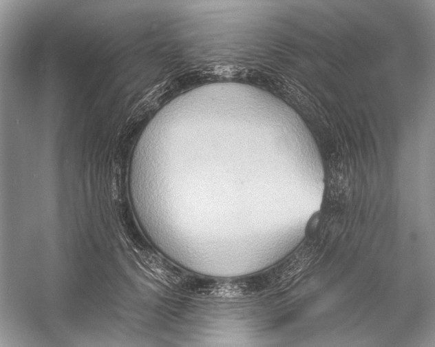 X0000057040656200510071407