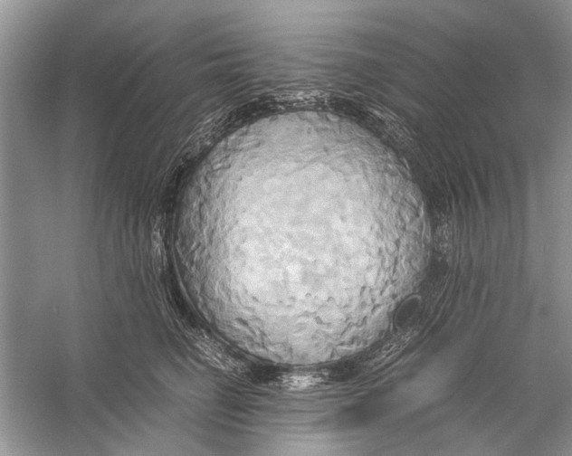 X0000057040662200510071407