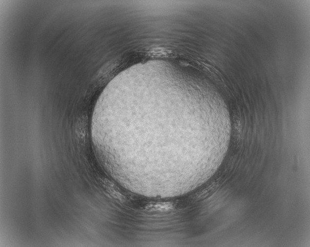 X0000057040665200510071407
