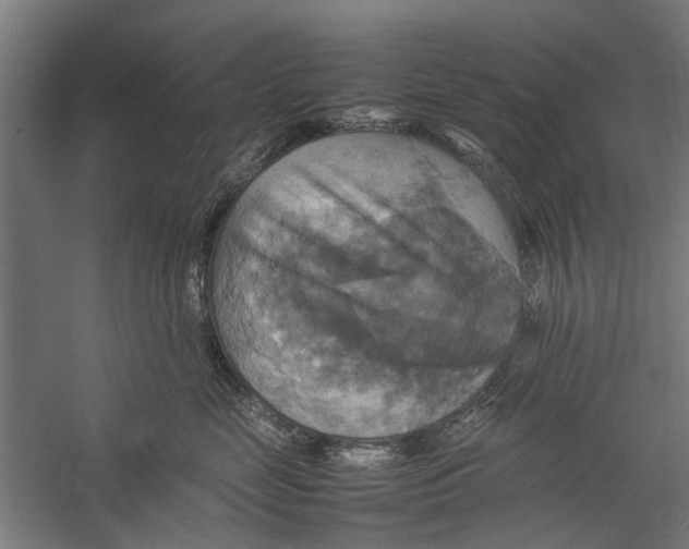 X0000057040669200510071407