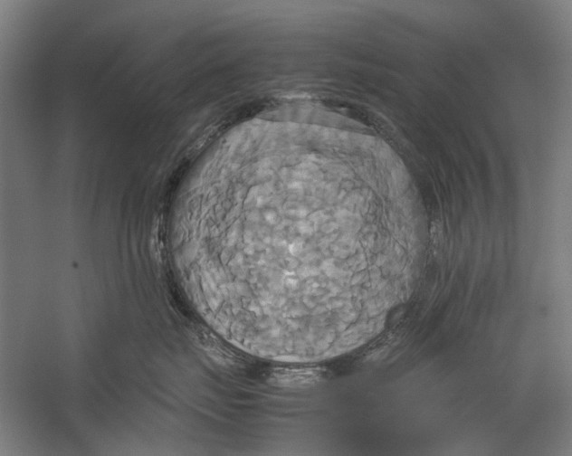 X0000057040671200510071407