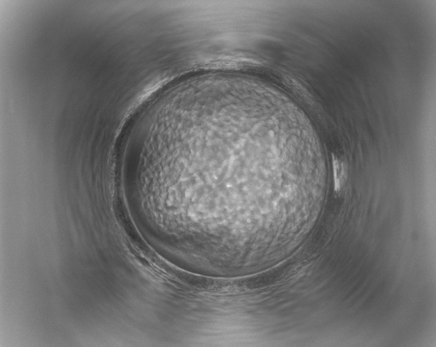 X0000057040675200510071406