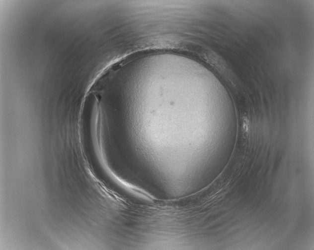 X0000057040676200510071406
