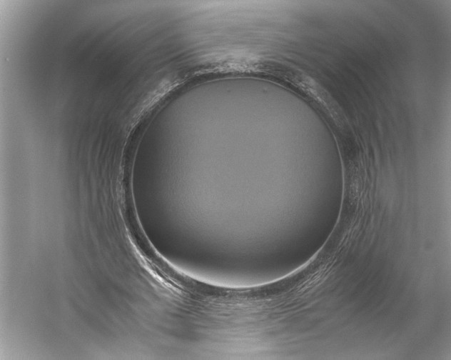 X0000057040677200510071406
