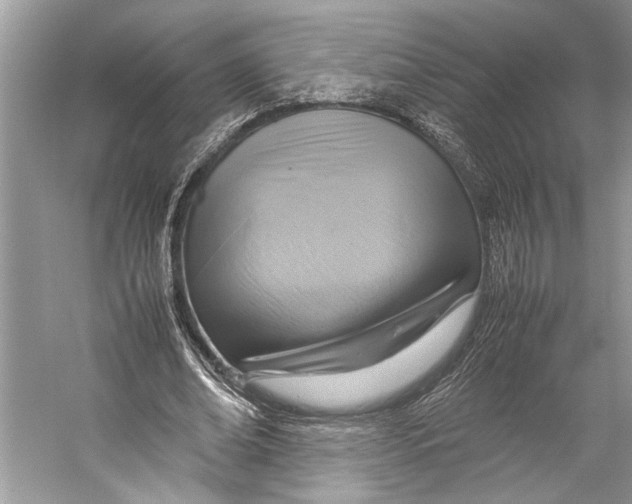 X0000057040678200510071406