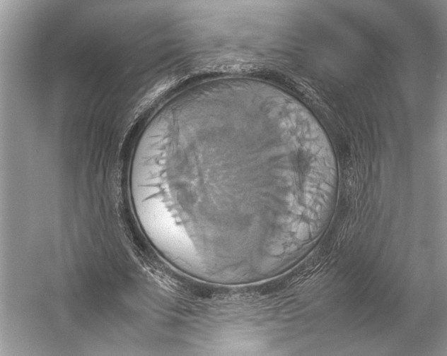 X0000057040679200510071406