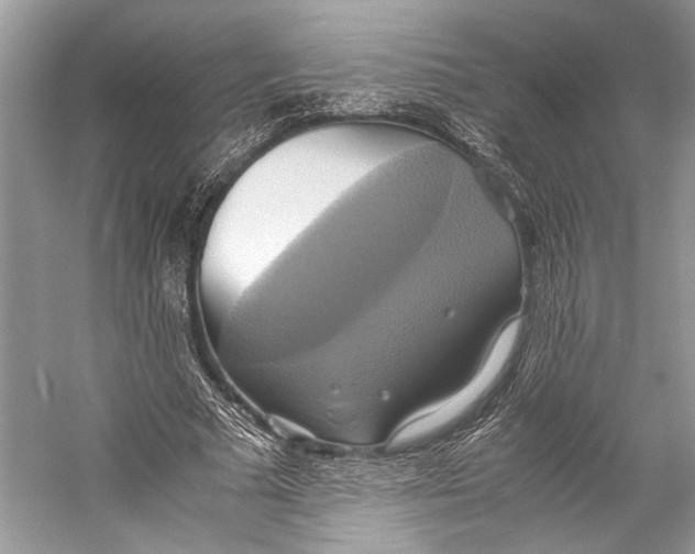 X0000057040681200510071406