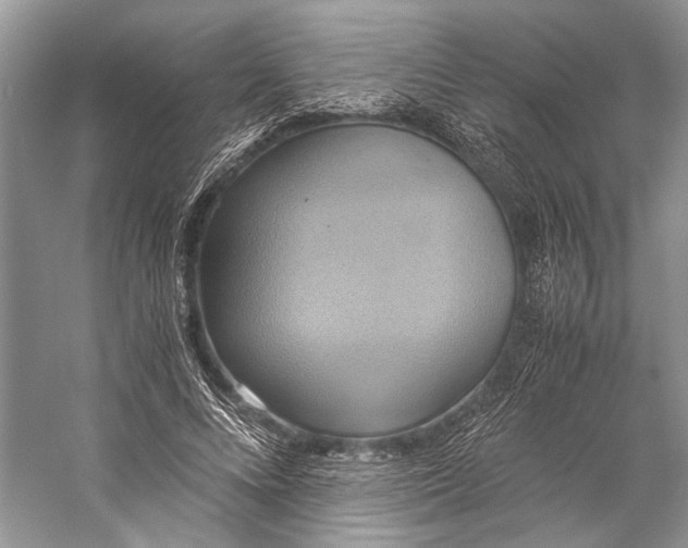 X0000057040688200510071406