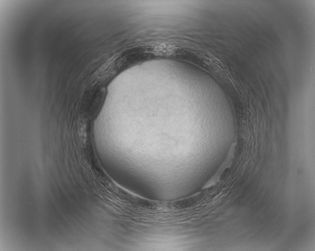 X0000057040697200510071406