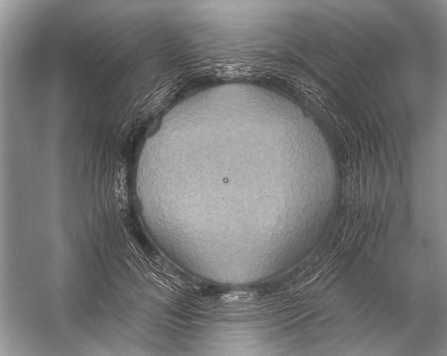 X0000057040700200510071406