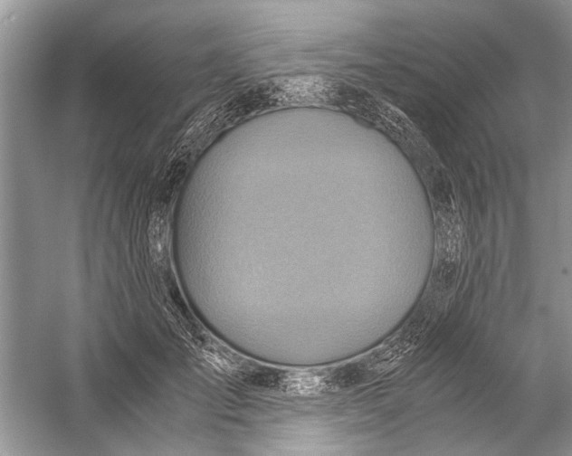 X0000057040701200510071406