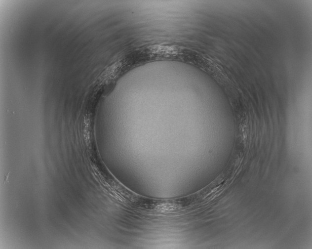 X0000057040708200510071406