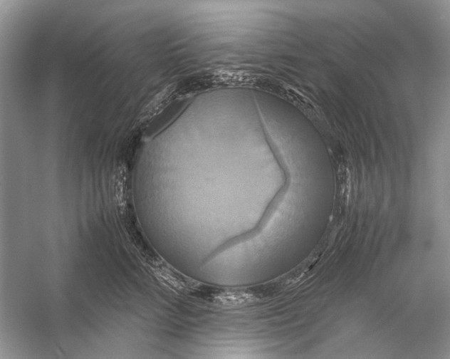 X0000057040712200510071405
