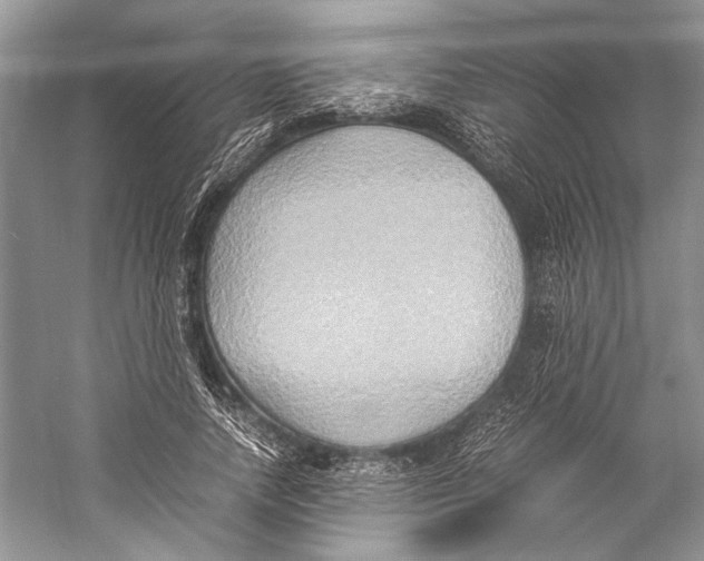 X0000057040738200510071405