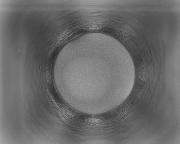 X0000057040743200510071405