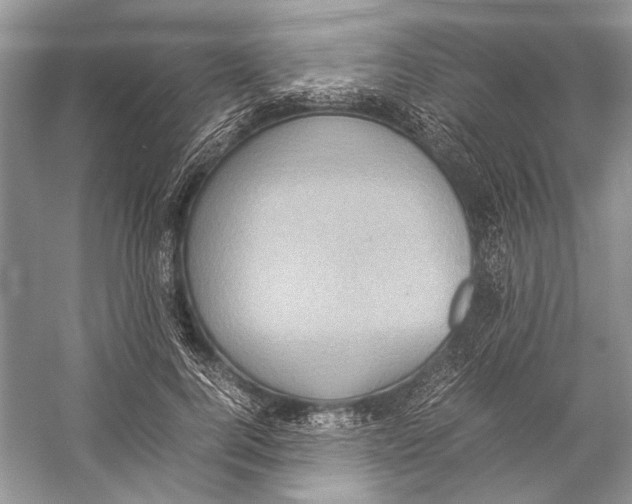 X0000057040744200510071405