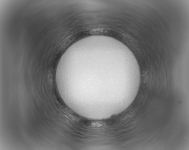 X0000057040753200510071405