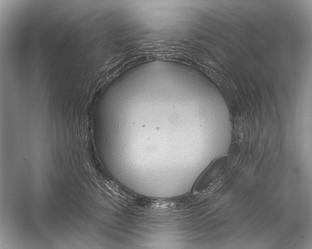X0000057040760200510071405