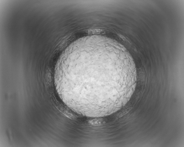 X0000057040761200510071405
