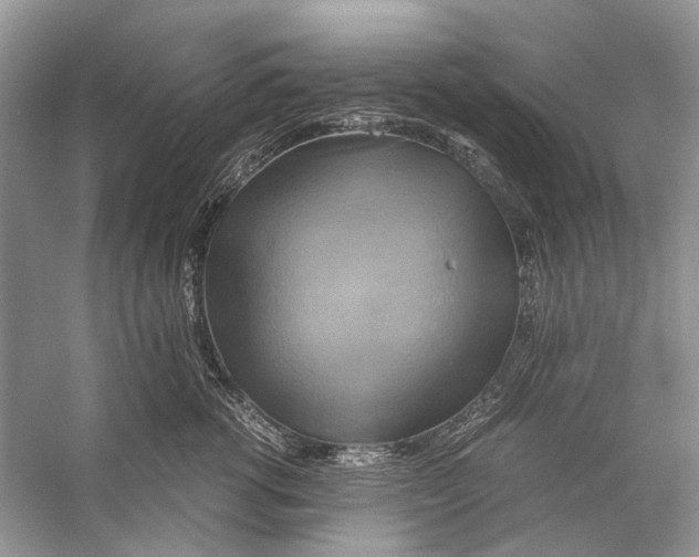 X0000057040762200510071405