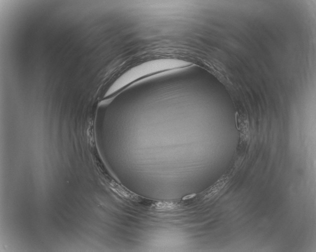 X0000057040766200510071405