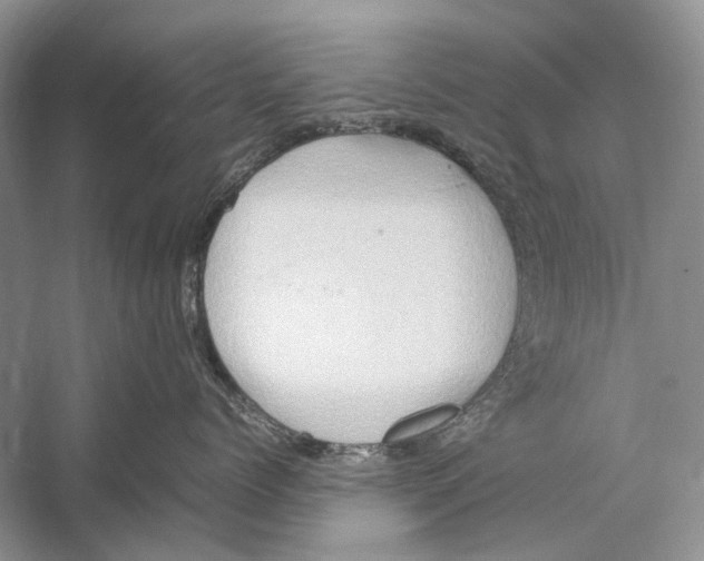 X0000057040768200510071405