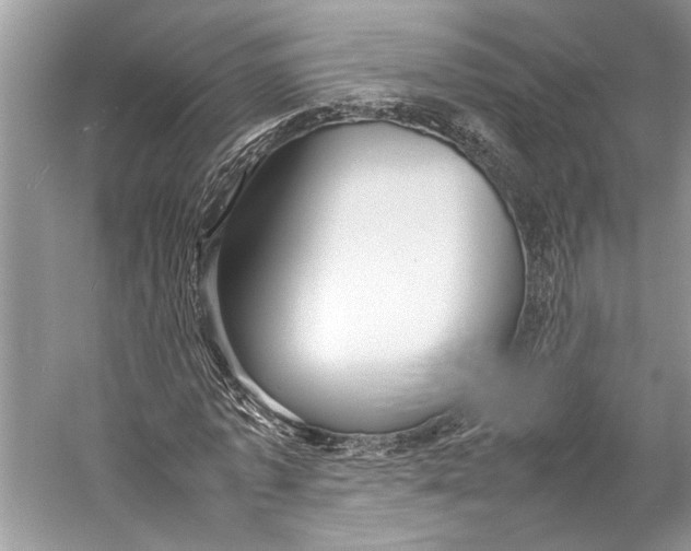 X0000057040773200510071404
