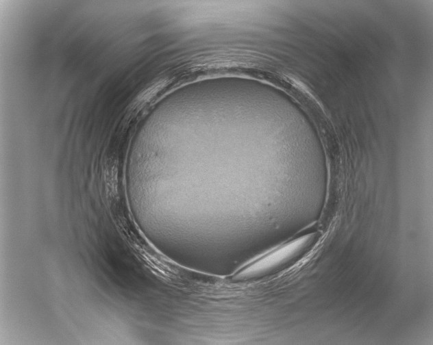X0000057040777200510071404