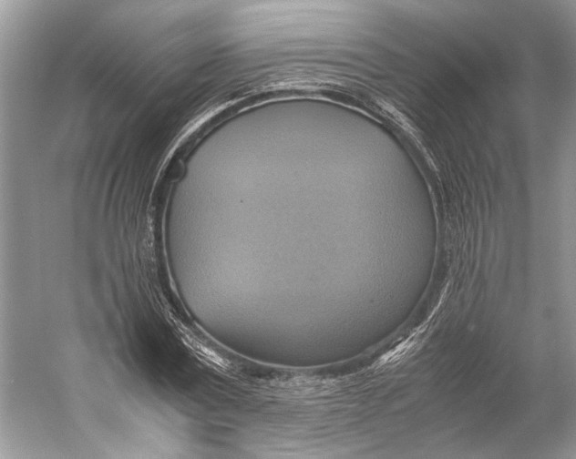 X0000057040779200510071404