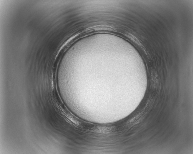 X0000057040782200510071404