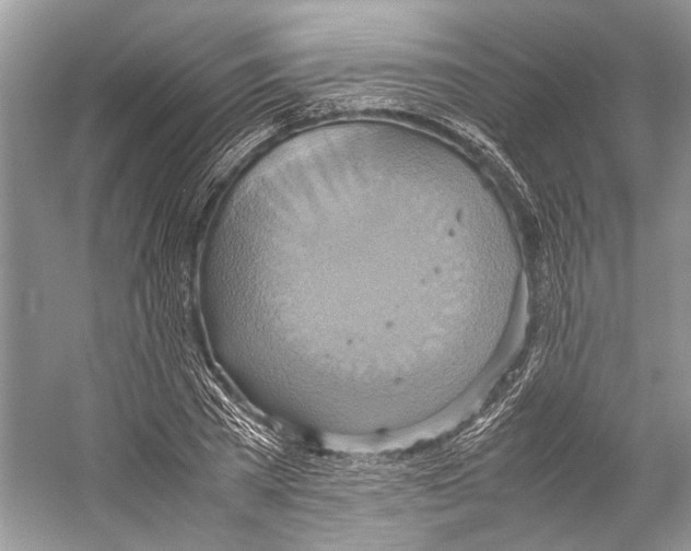 X0000057040785200510071404