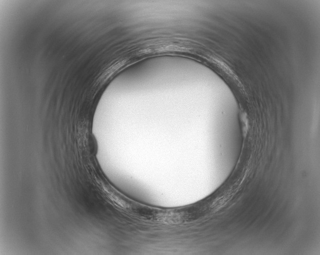 X0000057040793200510071404