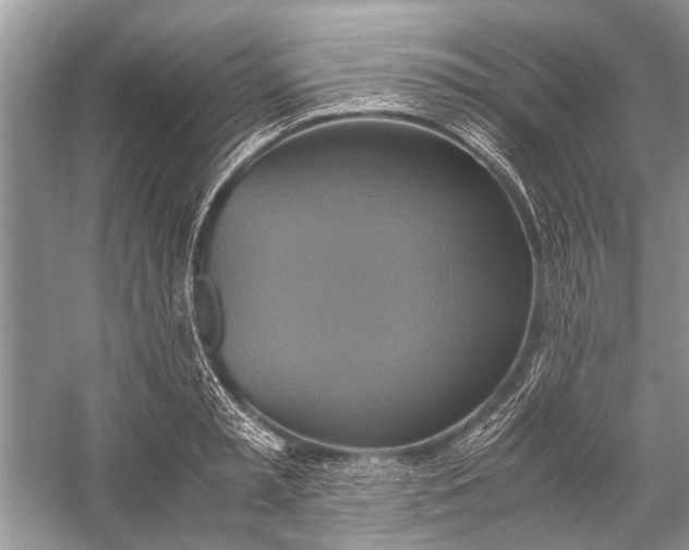 X0000057040797200510071404