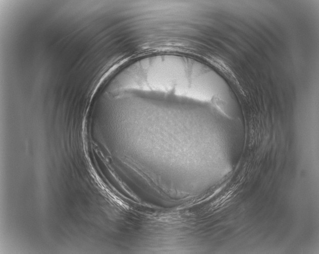 X0000057040798200510071404