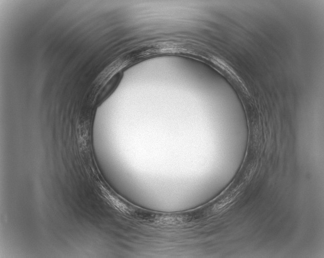 X0000057040801200510071404